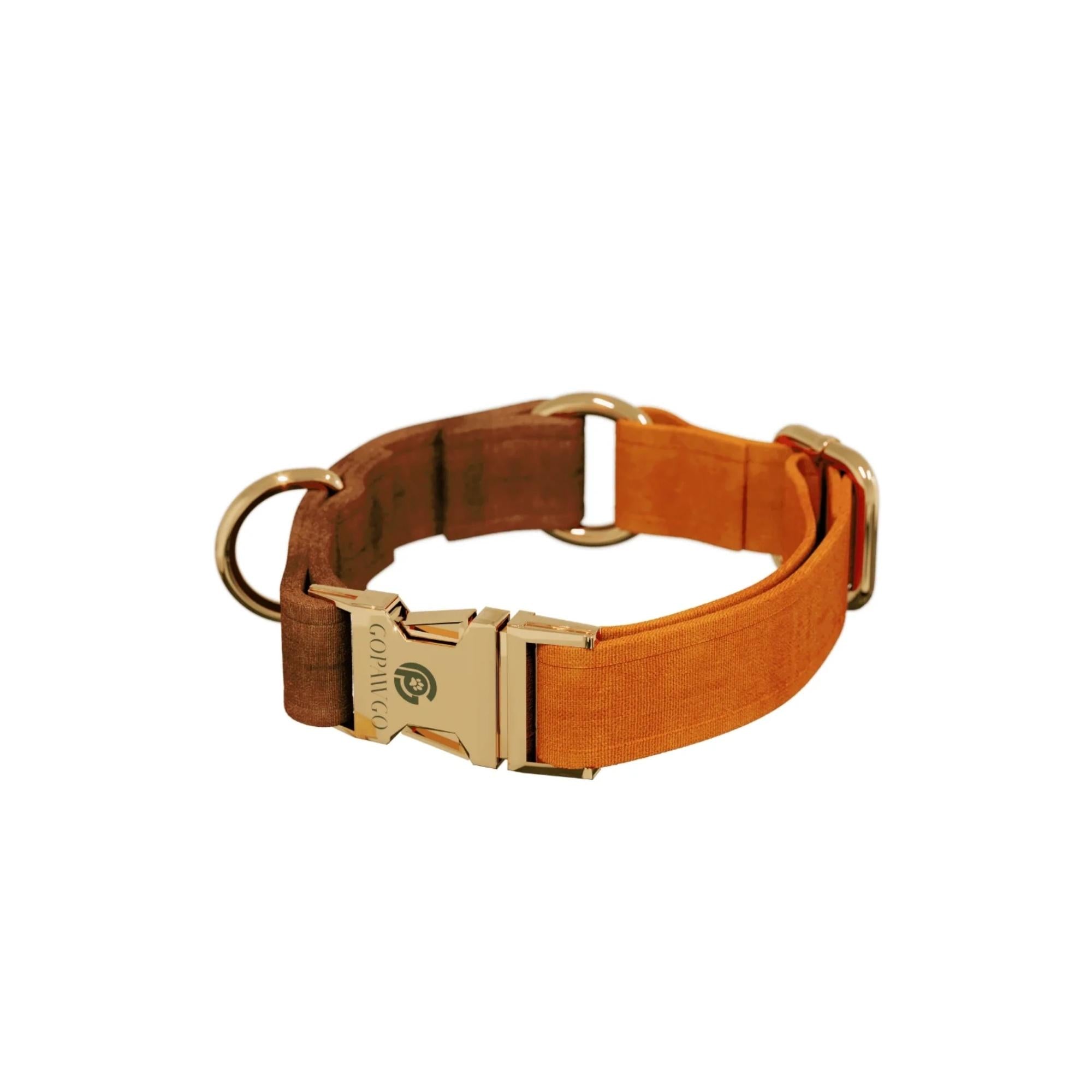 GoPawGo Harlowe Dog Collar