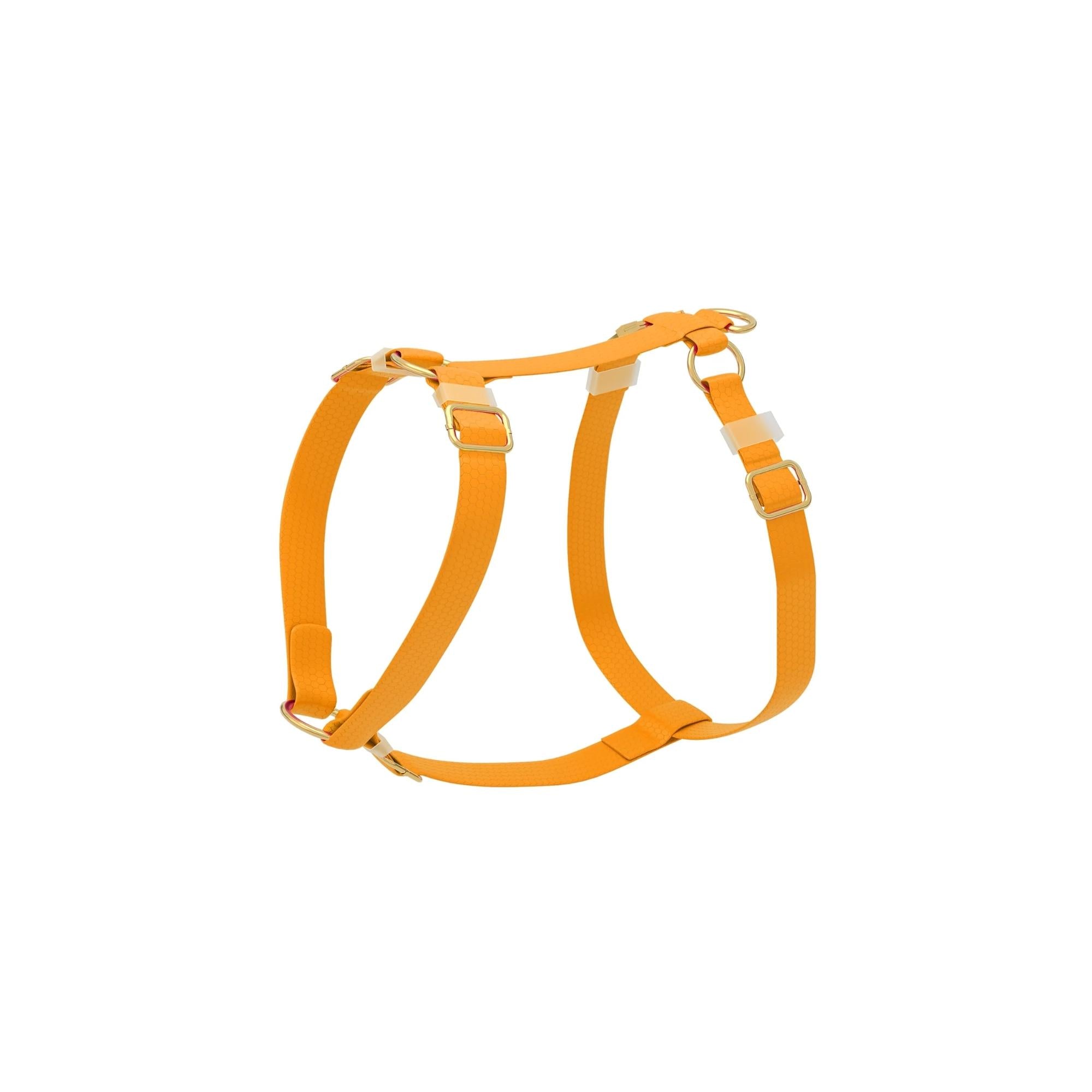 PattePatte Orange Dog Harness