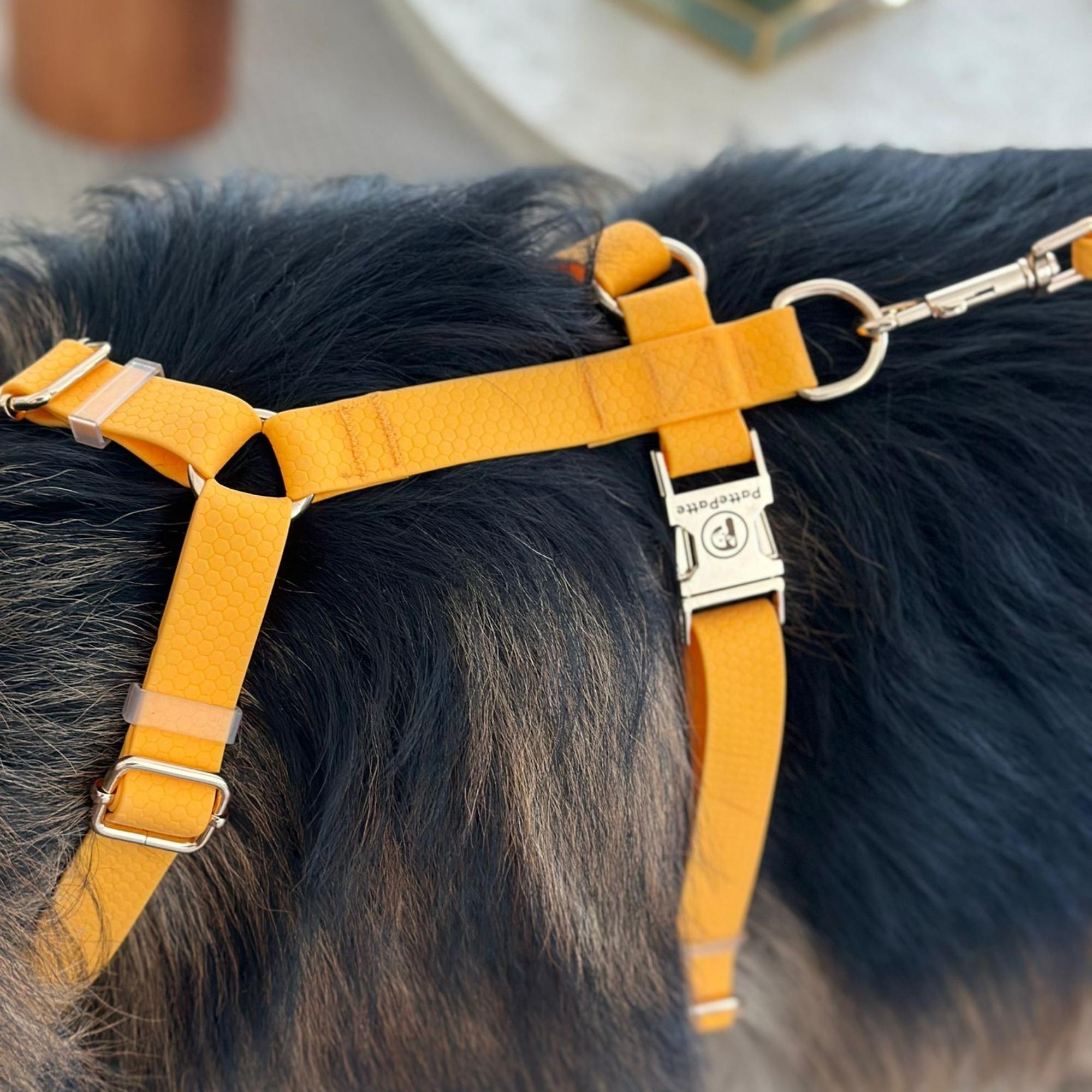 Orange Waterproof Dog Harness and Leash Set
