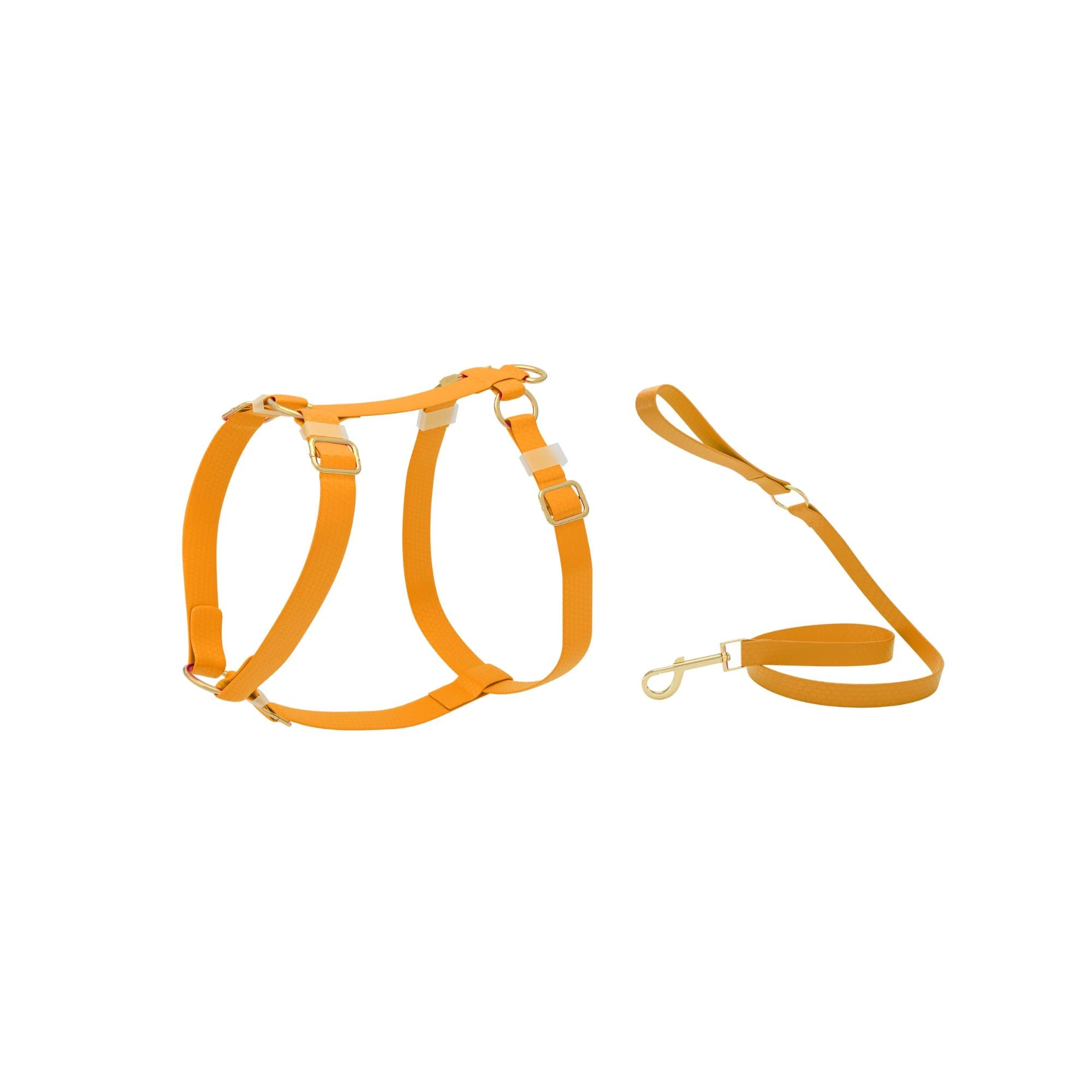 PattePatte Orange Harness and Leash Set
