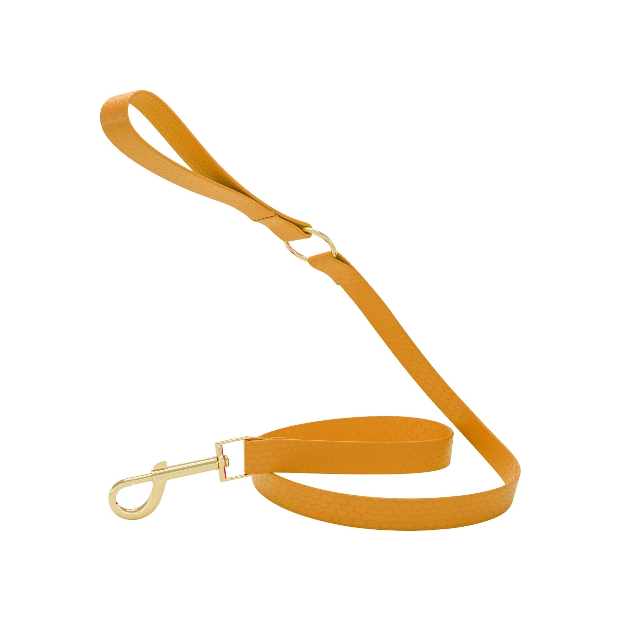 PattePatte Orange Dog Leash