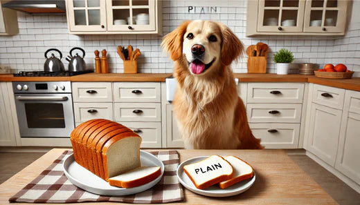 can dogs eat bread